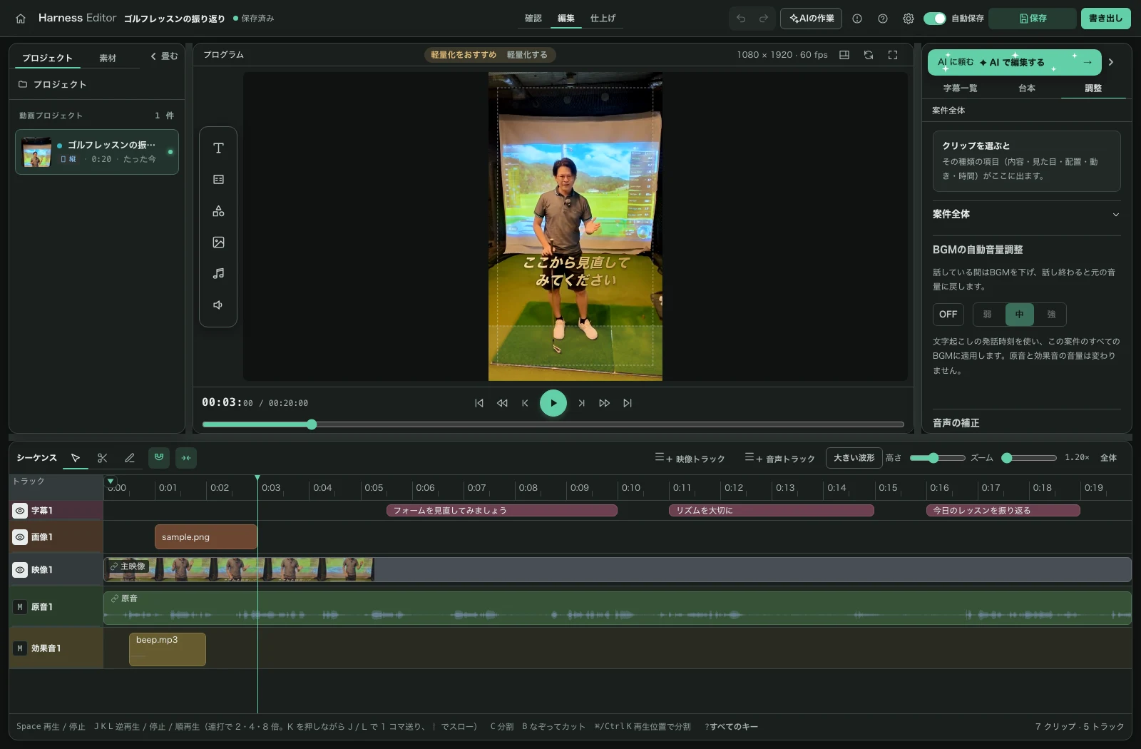 Harness Editor の編集画面（タイムラインとプレビュー）